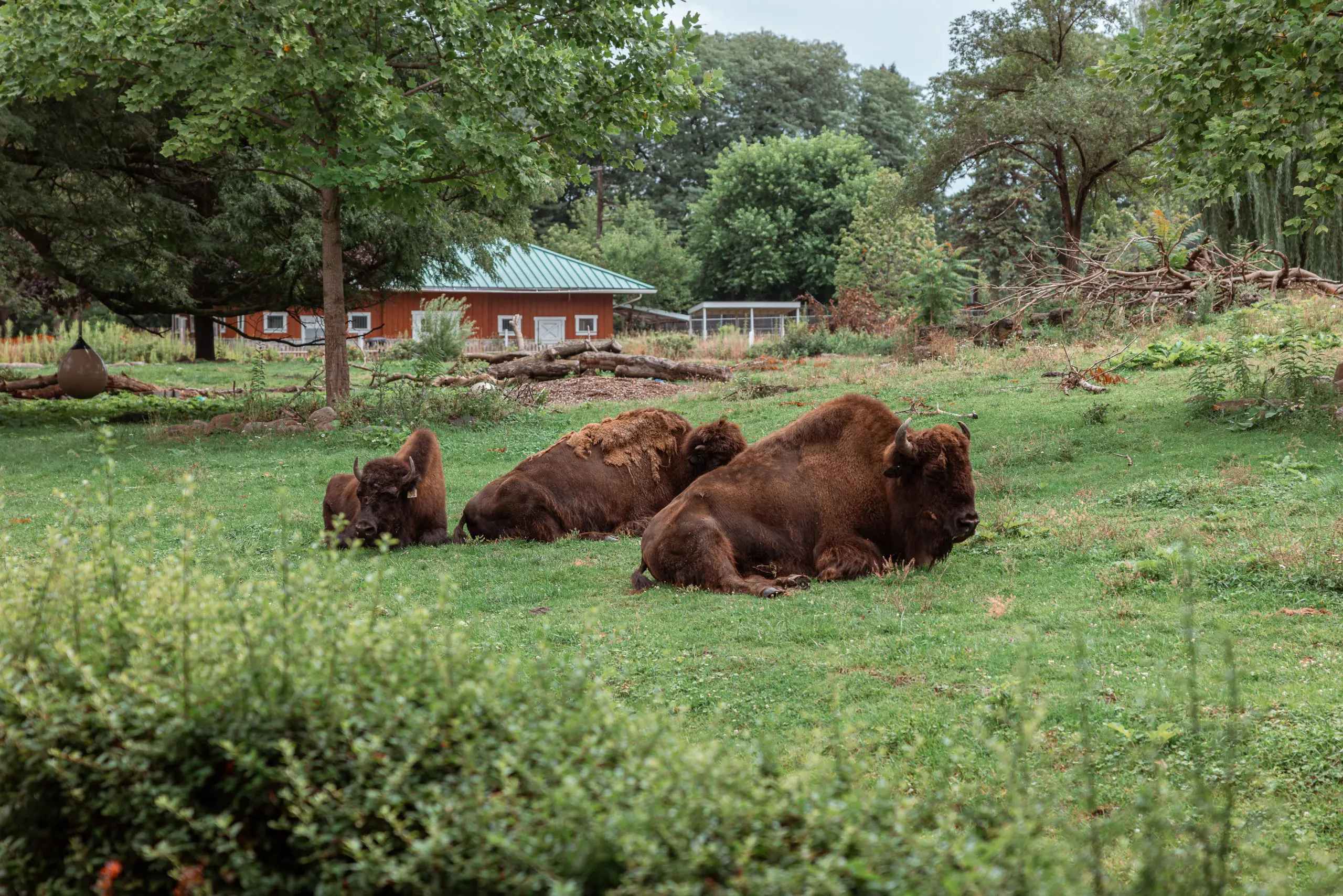 Detroit Zoo Exhibit