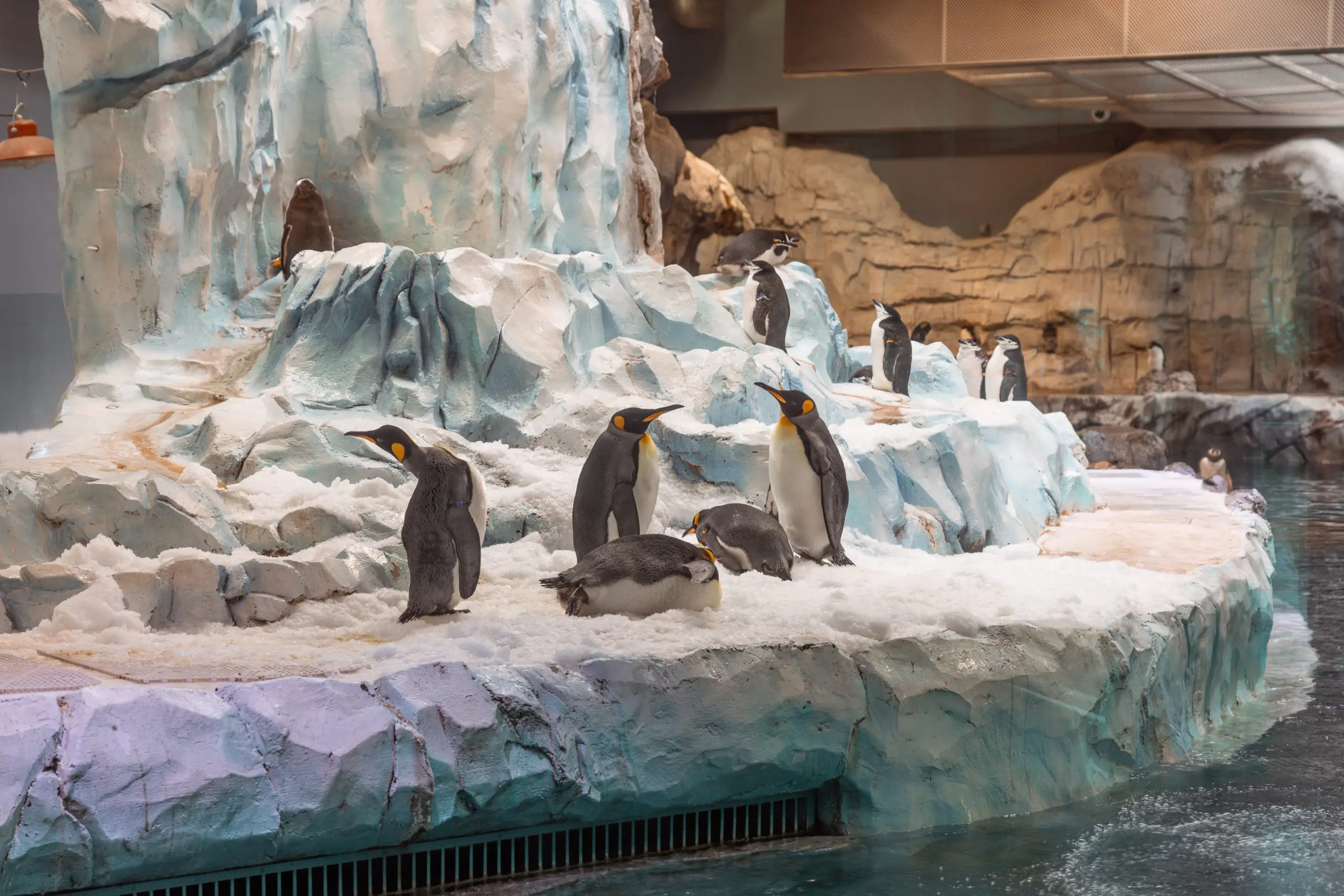 Detroit Zoo Penguin Exhibit